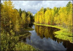 September