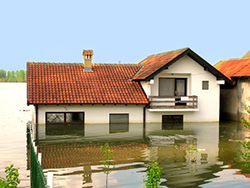 Flood Insurance